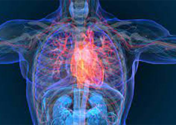 electrophysiology